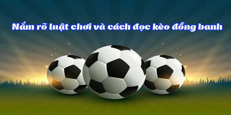 Kinh nghiệm cá cược kèo đồng banh là gì chuẩn xác